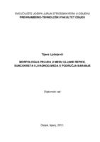 Morfologija peluda u medu uljane repice, suncokreta i livadnog meda s područja Baranje